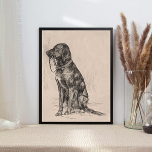 Op de afbeelding: Zwart-witte lijntekening van een hond die zit met zijn hoofd naar de zijkant gedraaid. De hond draagt een halsband en heeft een riem in zijn bek.