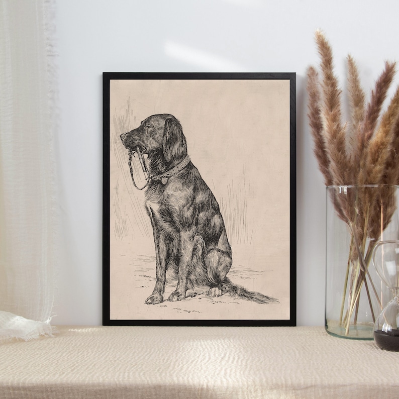 Op de afbeelding: Zwart-witte lijntekening van een hond die zit met zijn hoofd naar de zijkant gedraaid. De hond draagt een halsband en heeft een riem in zijn bek.