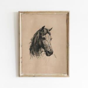 Op de afbeelding: Een zwart-witte tekening van een paardenhoofd in een eenvoudige houten lijst. Het paard kijkt naar rechts en heeft een lange manen.