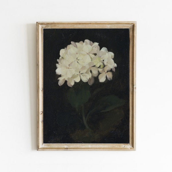 peinture d’hortensia vintage, peinture de fleurs anciennes, impression d’art botanique, impression d’art floral, impression de fleurs vintage, art mural de fleurs imprimable