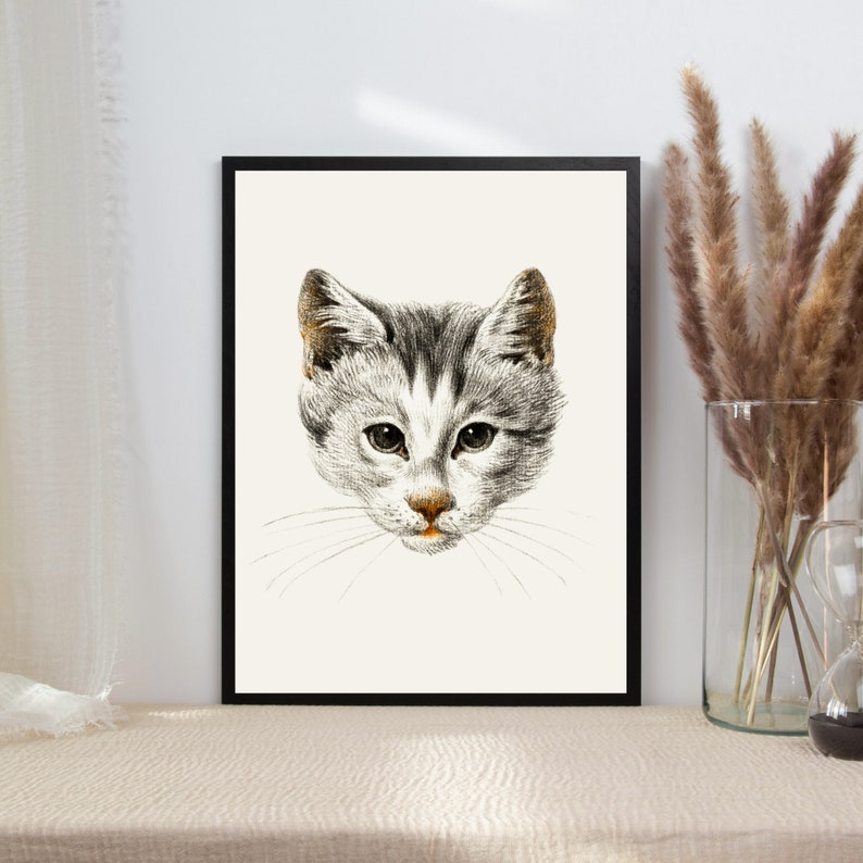May include: A black and white illustration of a cat's face. The cat has gray fur with white markings and a black nose. The illustration is framed in a black frame.