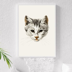 May include: A black and white illustration of a cat's face with a light gray background.