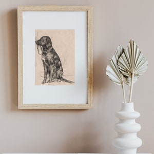 Op de afbeelding: Een zwart-witte tekening van een hond die zit met zijn hoofd naar de zijkant gedraaid. De hond draagt een halsband en zit op een lichtbruine achtergrond.