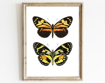 Impression d'art vintage papillon : dessin d'insecte monarque (téléchargement numérique)