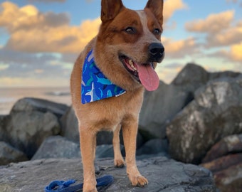 Underwater Band reversible snap Bandana