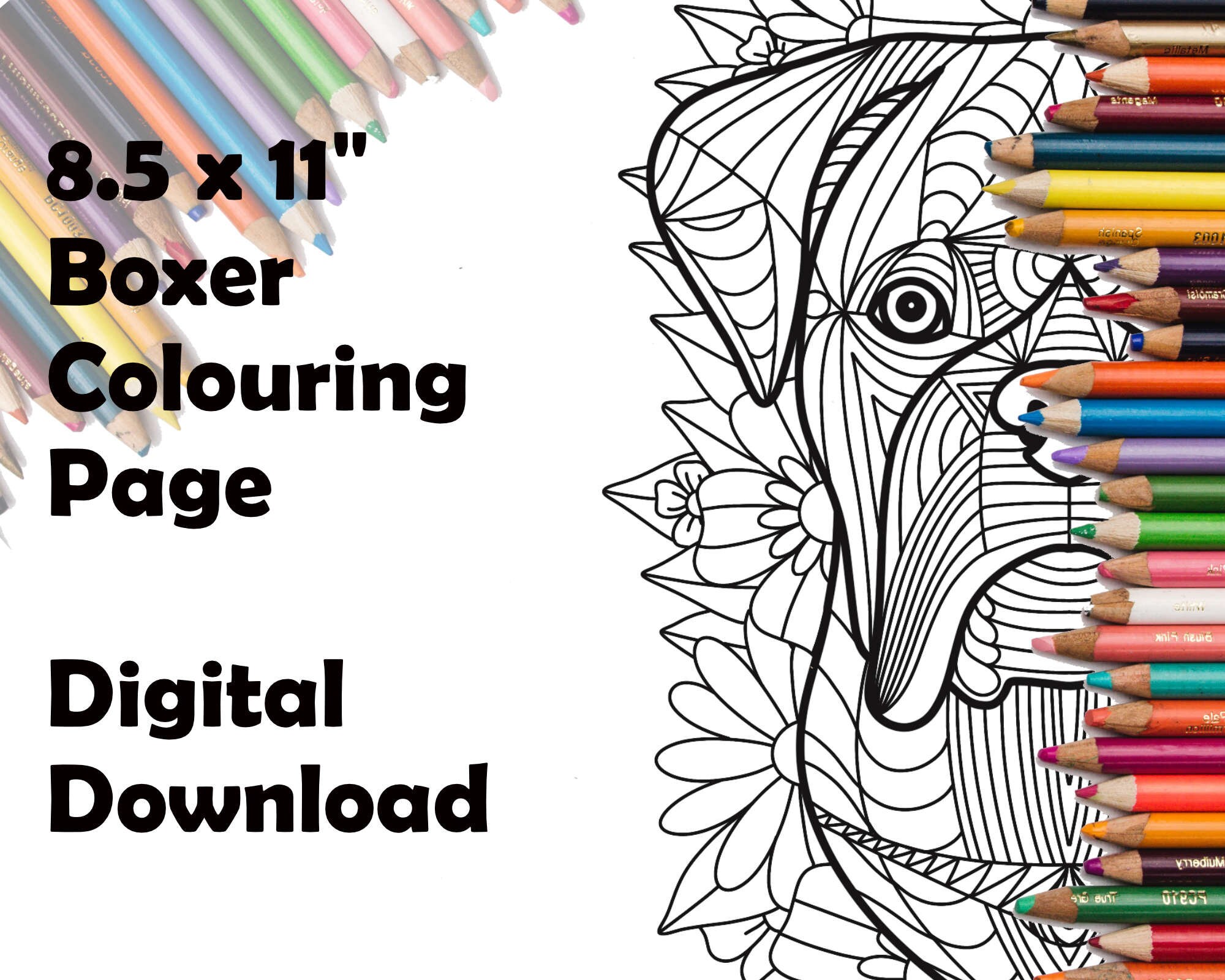 Printable Boxer Coloring Page With Geometric Pattern and Floral ...
