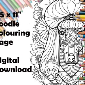 Oodles of Doodles: an Advanced Coloring Book for Adults Full of Detailed Patterns [Book]