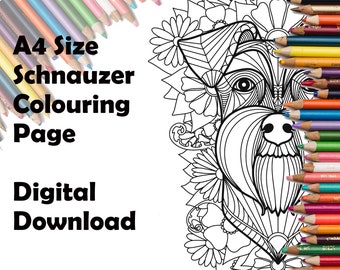 A4 size Schnauzer Colouring Page with Geometric Pattern and Floral Background, Instant Digital Download for Personal Use Only