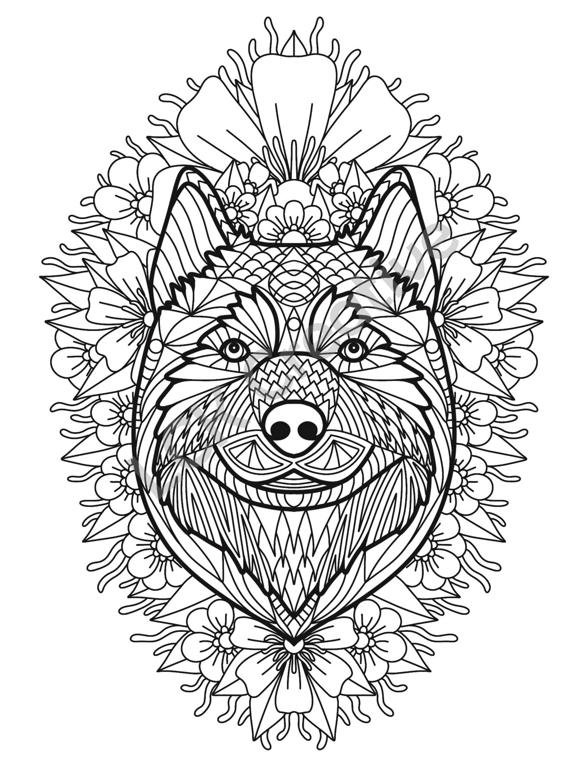 Letter Size Printable Husky Colouring Page With Geometric Pattern and ...