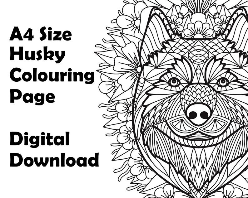 A4 Printable Husky Colouring Page With Geometric Pattern and Flowers ...