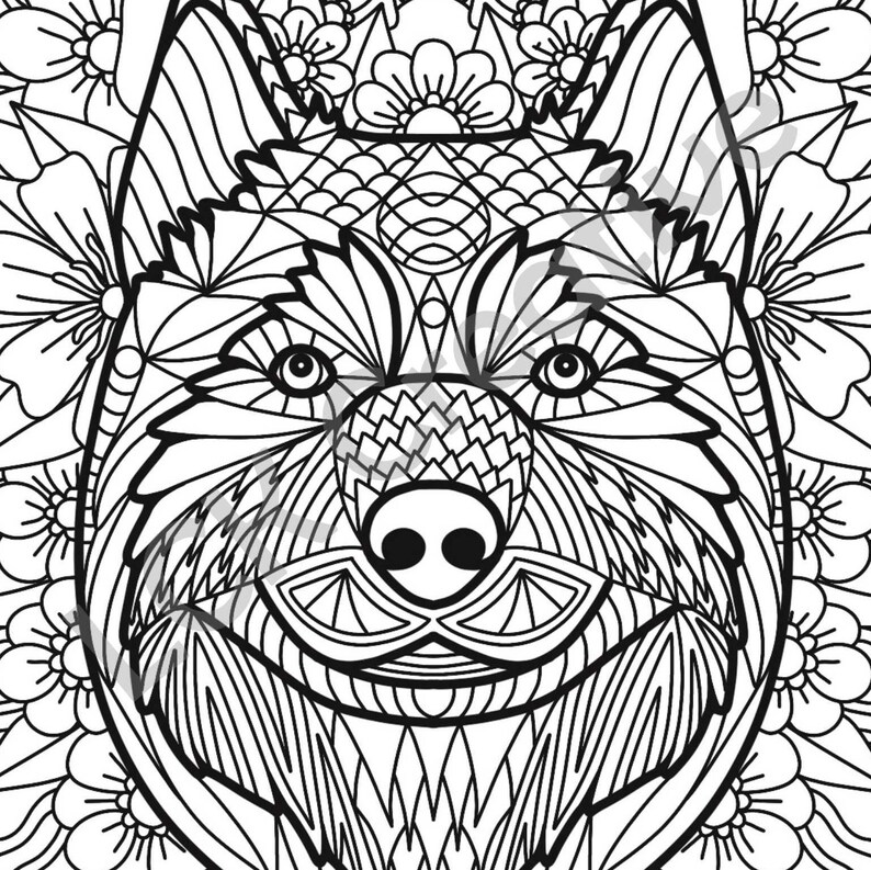 A4 Printable Husky Colouring Page With Geometric Pattern and - Etsy