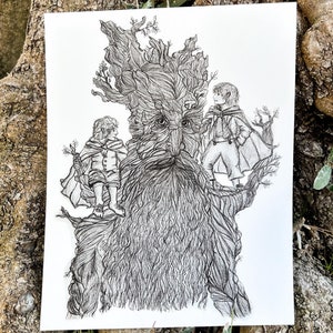 Il Signore degli Anelli Stampa artistica Barbalbero Allegro Pippin Arte Fantasy Fanart di Tolkien Regalo nerd Stampa artistica del Signore degli Anelli Stampa artistica di Tolkien Regalo del Signore degli Anelli Disegno