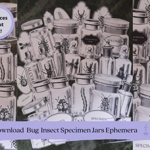 Bug Insect Creepy Crawlies Horror  Digital Printable Specimen Jars Tags Labels x30 Scrapbook Journal Black & White High Quality Images