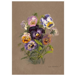 Viola Tricolor or Johnny Jump Up Vintage Lithograph (c. 1911) - Giclee Fine Art Print - Framed/Unframed/Canvas