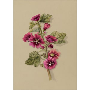 May include: A watercolor painting of a pink flower with green leaves. The flower is in bloom and has a white center. The leaves are arranged around the flower in a symmetrical pattern.