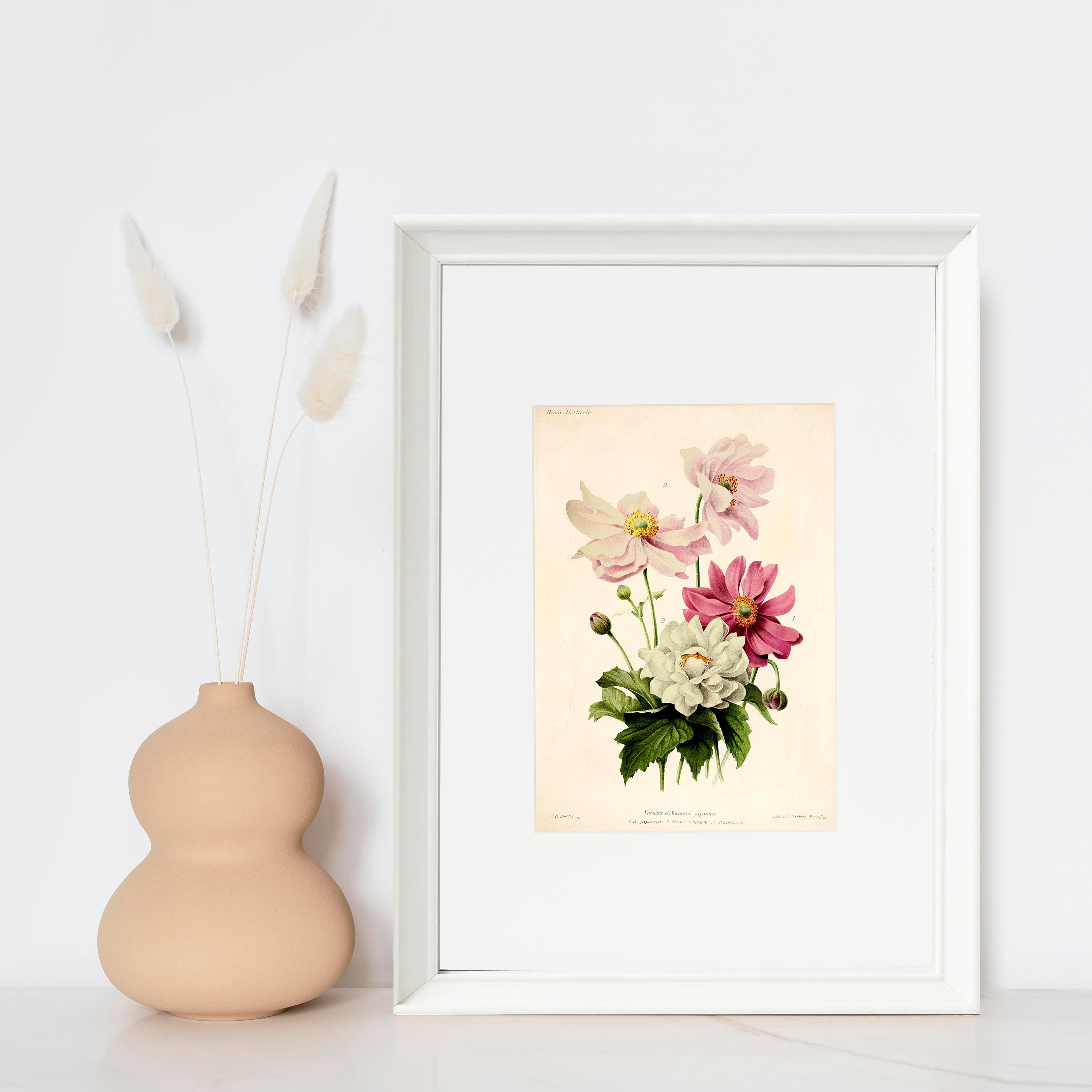 Japanese Anemone Vintage Lithograph (1832-1922) - Giclee Fine Art