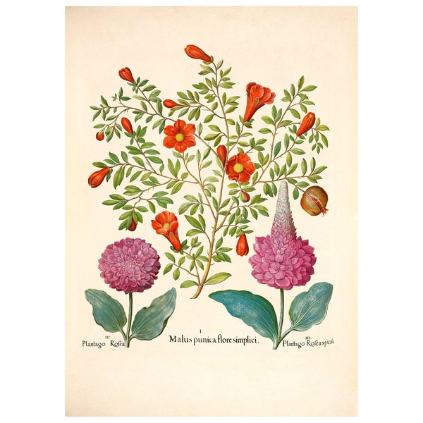 Fine Art Lithograph Etsy