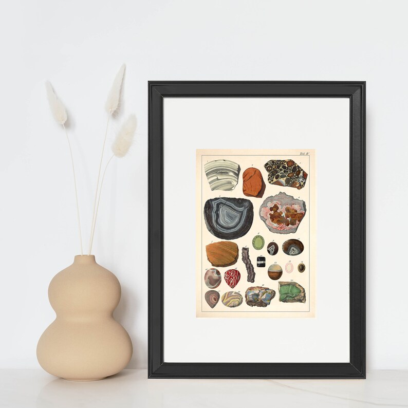 Pode incluir: Uma ilustra&ccedil;&atilde;o vintage de v&aacute;rios tipos de pedras de &aacute;gata. A ilustra&ccedil;&atilde;o apresenta uma variedade de cores e padr&otilde;es, incluindo vermelho, marrom, branco e preto. As pedras est&atilde;o dispostas em uma grade, com cada pedra etiquetada com seu nome.