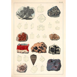 Puede incluir: Una impresión antigua con varios especímenes minerales. Las ilustraciones muestran una variedad de formas y colores, incluyendo formas cúbicas, prismáticas e irregulares. La impresión tiene una estética vintage, con un fondo crema y dibujos detallados.