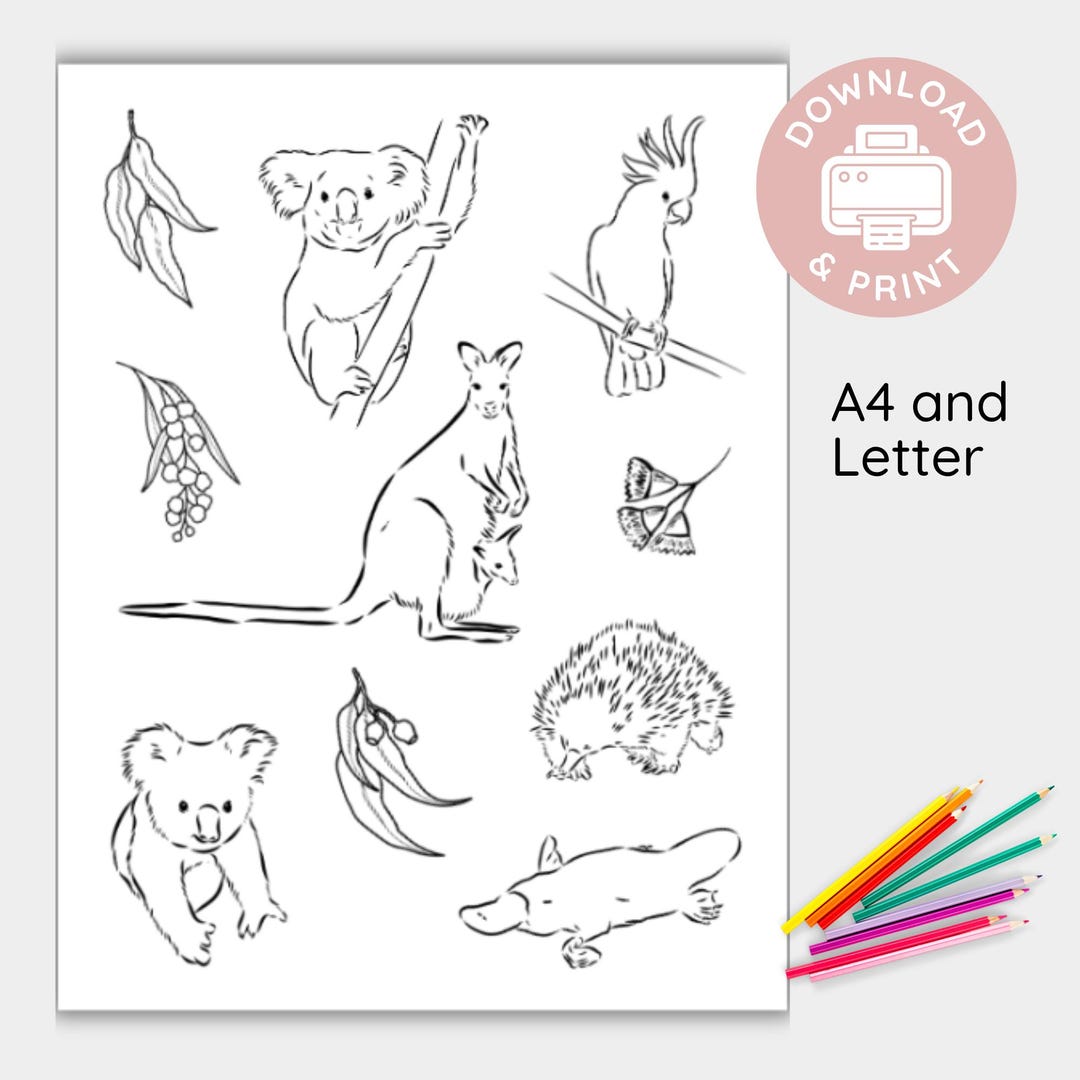 Australian Native Animals Colouring Page, Printable Koala Kangaroo ...
