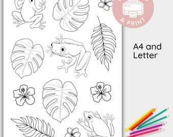 Laubfrosch Malseite, Regenwald Malseite, zum Ausdrucken, zum sofortigen Download