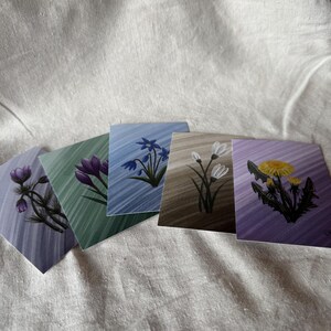 Carte de voeux de printemps / Carte postale de voeux de Pâques / Cartes de fleurs / Perce-neige /
