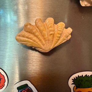 May include: A light beige seashell-shaped magnet. The magnet has a textured surface with detailed ridges and a naturalistic appearance. The seashell is a decorative item, likely for a refrigerator or magnetic surface.