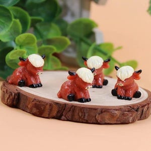 Puede incluir: Cuatro figuras en miniatura de ganado Highland, cada una con un cuerpo de color marrón rojizo, pezuñas negras y un mechón de pelo blanco prominente en la cabeza. Las pequeñas figuras de animales aparecen sentadas con la cabeza inclinada.