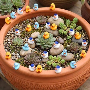 Puede incluir: Una maceta grande de terracota llena de tierra, pequeñas suculentas verdes y piedras grises lisas. Numerosas figuras en miniatura de patitos de goma en amarillo, azul claro y blanco, algunos con gorros azules o gafas de sol, están dispersas.