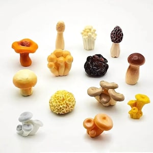May include: A collection of thirteen miniature mushroom figurines in various shapes, sizes, and colours, including orange, yellow, brown, white, and dark purple. Each small sculpture features distinct cap textures and stem forms, arranged on a white surface.