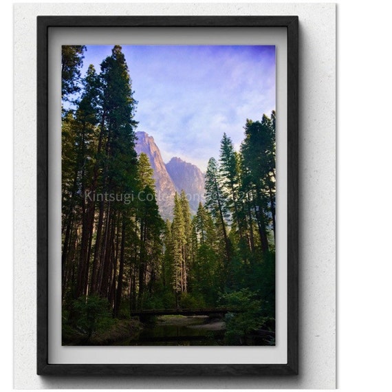 Titled: Clearing at Yosemite (Digital Download)
