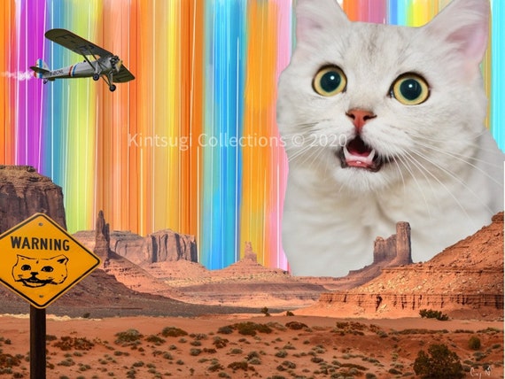 Cat Lovers Art | Digital Art Collage | Surrealistic Grand Canyon Print | Original Decor | Kitten & Plane Scene | Original Print