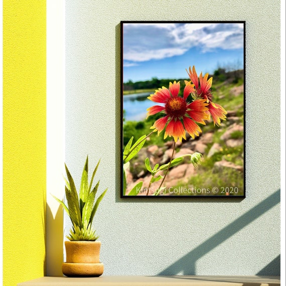 Wichita Mountain Orange Wildflowers (Digital Download)