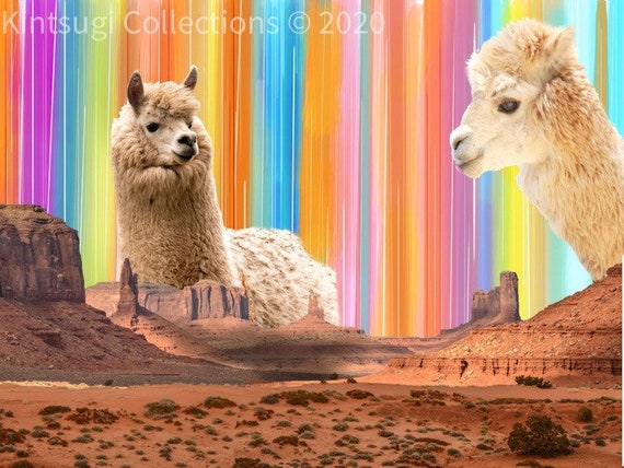 No Drama Llamas | Surrealistic Grand Canyon Image | Digital Print of Alpacas | Mixed Media Collage | Humorous Print | Vibrant Color Art