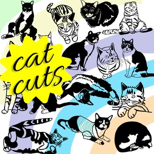 CAT CUTS 16 Arquivos de corte para uso comercial ou pessoal Cricut Silhouette Digital Download SVG