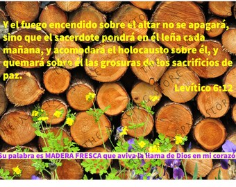 Versos Bíblicos Mensajes Cristianos Sticker Biblia Decal Calcomanía Size 4.75 X 3.50 Inches