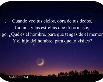 Versos Bíblicos Mensajes Cristianos Sticker Biblia Decal Calcomanía
