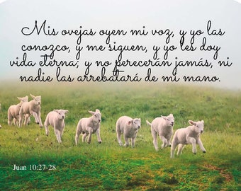 Versos Bíblicos Mensajes Cristianos Sticker Biblia Decal Calcomanía