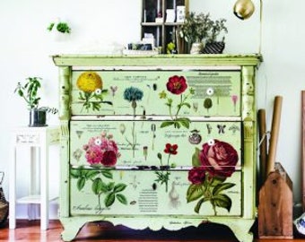 Prima Marketing Prima Re-Design Decor Transfer-Wondrous Flora 22/"X32/"