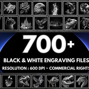 Laser-Gravur-Bundle | Lebenslanger Zugriff auf alle Dateien | Tiere - Dinosaurier - Fantasy & mehr | + Kommerzielle Lizenz