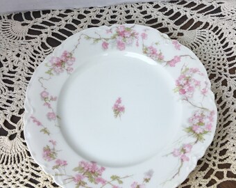 Peut inclure: Une assiette en porcelaine blanche avec un motif floral rose délicat. L'assiette a un bord festonné et est décorée de fleurs roses et de feuilles vertes.