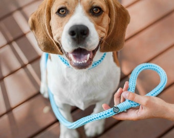 paracord leash for large dog, braided leash, paracord leash, colored dog leash, comfortable walk, durable leash, leash