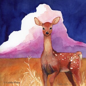 May include: A watercolor painting of a young deer standing in a field with a pink and purple cloud behind it. The deer has brown fur with white spots and is looking directly at the viewer. The painting is signed "Caitlin Pisha" in the bottom left corner.