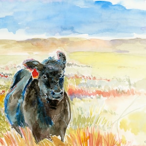 Wind, Fine Art Print, Watercolor, Black Angus Cow on the Prairie, 11x14, Wall Art