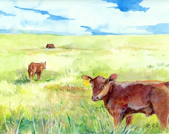 Red Angus Calf, Fine Art Print of Watercolor titled "Auburn", 11x14, Wall Art