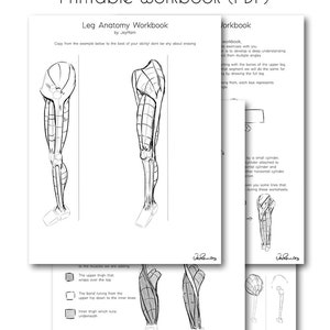 Leg Anatomy Workbook (Printable PDF)