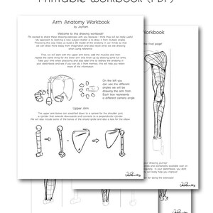 Arm Anatomy Workbook (Printable PDF)