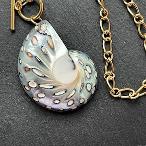 May include: A nautilus shell pendant necklace with a gold chain and clasp. The pendant is pearlescent with a mix of white, gray, and orange markings. The gold chain is a link style.