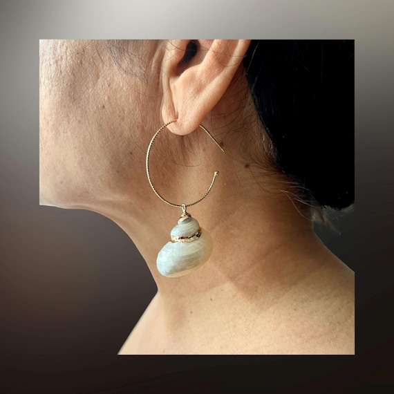 Spiral Muschel Ohrringe Gold, Muschel Schmuck, Muschel Ohrringe