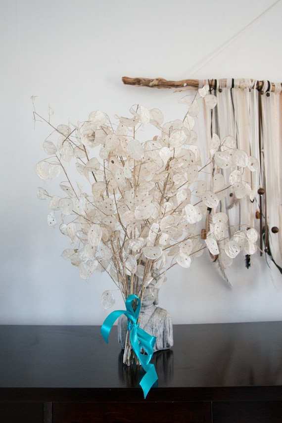 Currency Of The Pope Bouquet Currency Of The Pope Flower Dried Bouquet Dried Flowers Deco Brings Good Luck